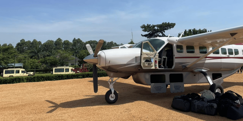 Empty Leg