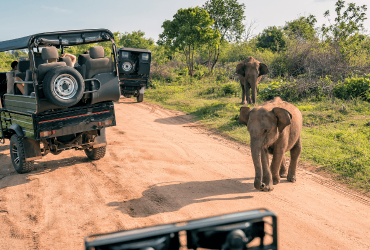 Kosher Safaris in Kenya Kosher Safaris in Kenya