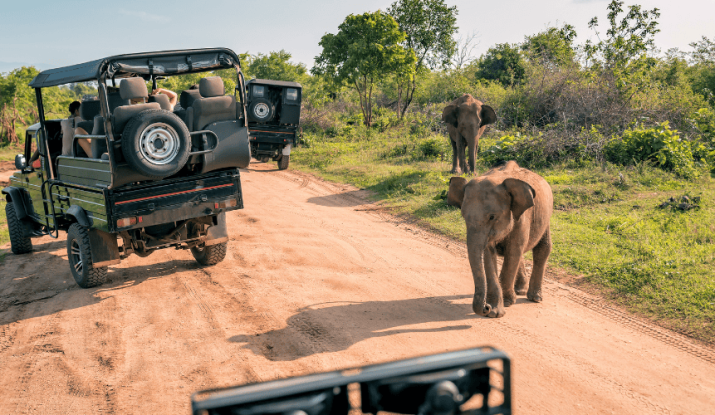 Kosher Safaris in Kenya